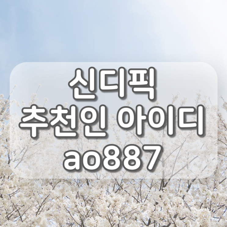 신디픽 추천인 ao887, 신규회원 8,000원 혜택 꿀팁