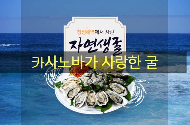  카사노바가 사랑한 스태미나 건강식품 굴 효능?