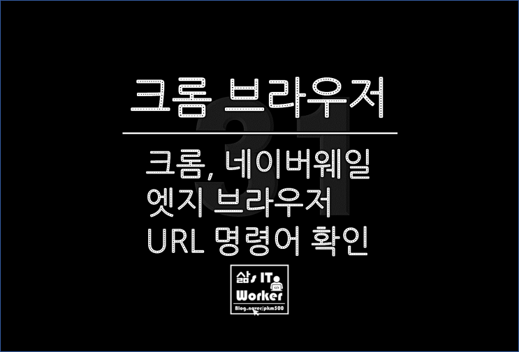  크롬&네이버웨일&엣지 브라우저 URL 명령어 리스트, 방문기록과 다운로드 이력 등 많은 것을 확인 가능!