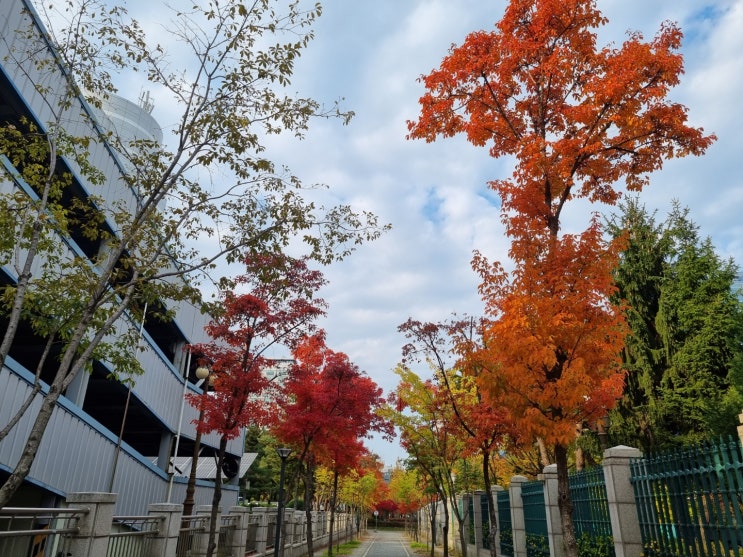  걷기인증, 21년 10월 31일 만보성공