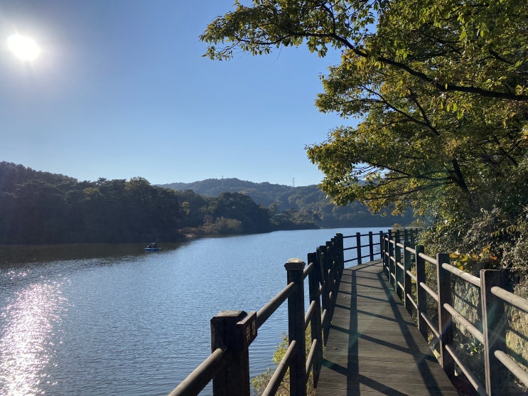  아내와 금광호수 산책 (경기도 안성 가볼 만한 곳)