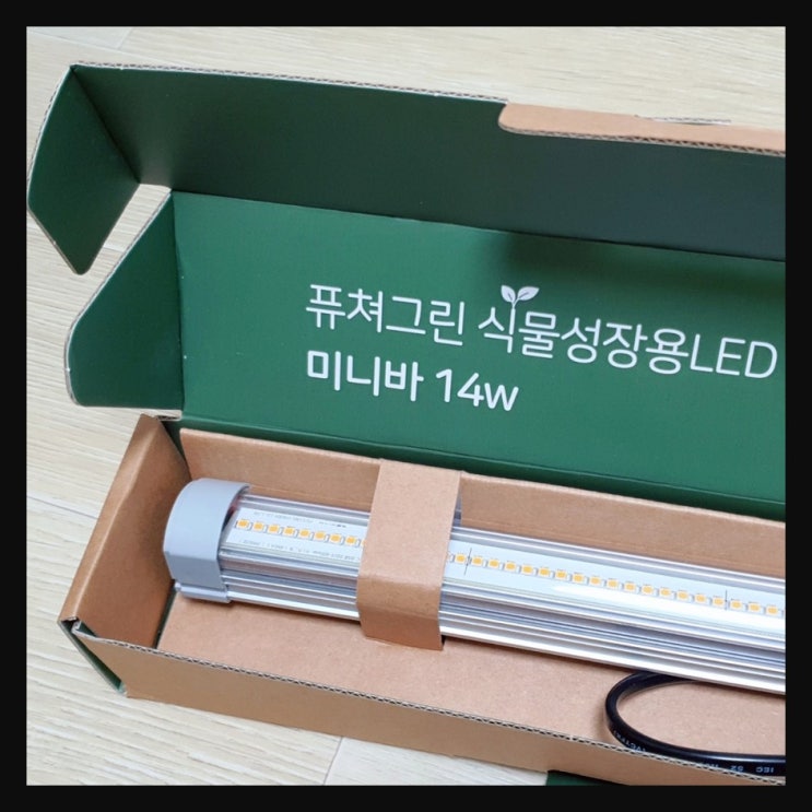  퓨쳐그린 식물LED등 : 실내에서도 베란다 텃밭 즐겨요!