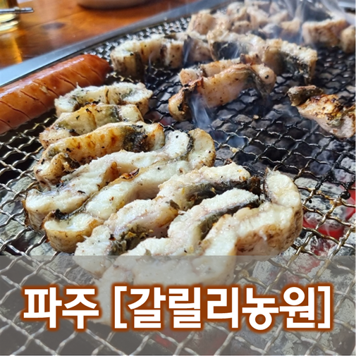  [경기/파주] 갈릴리농원