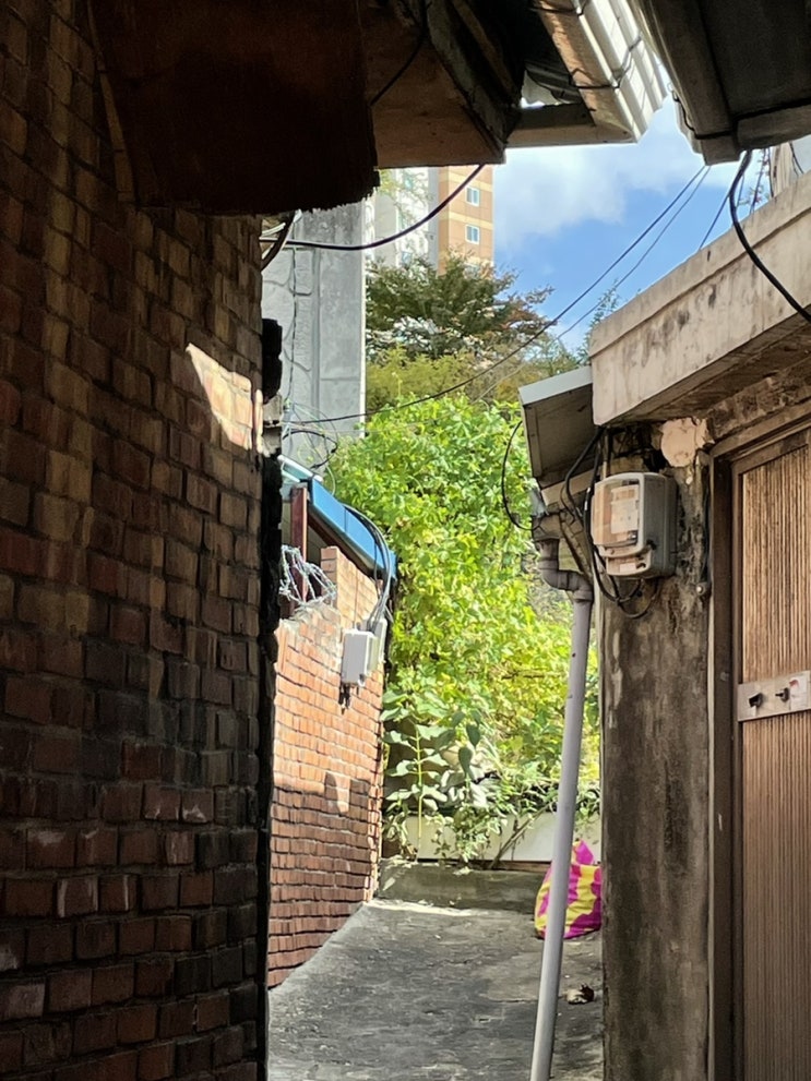  밍글맹글
