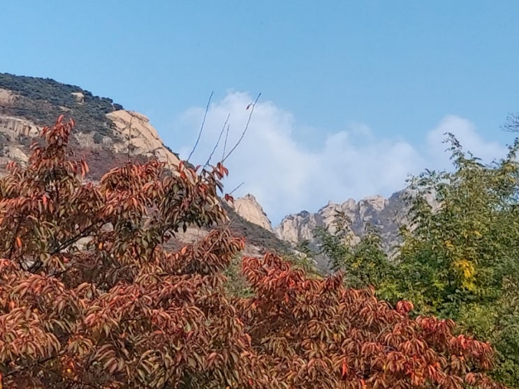 북한산 북한산성코스  북한산 국립공원 대서문길