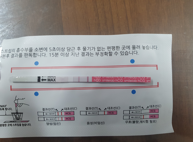  임테기 결과 임신극초기