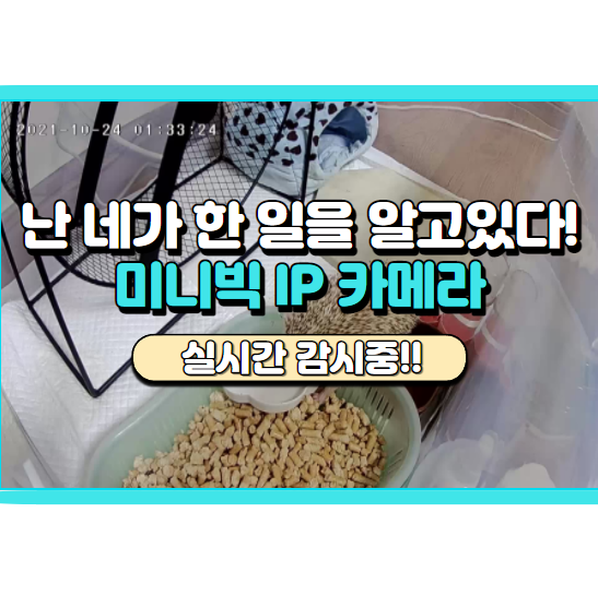 반려동물필수템 CCTV, 미니빅 가성비 홈카메라 설치하면 걱정 끝!