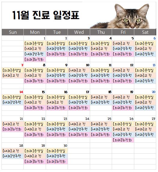   경기광주 동물병원 송정동물의료센터 2021년 11월 주치의 스케줄 