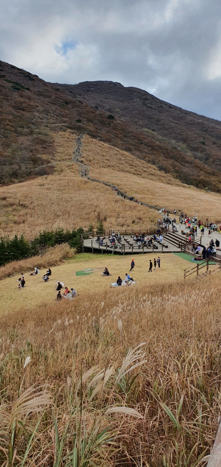 가을등산 - 신불산 간월재 억새평원 (가는길, 꿀팁 등)