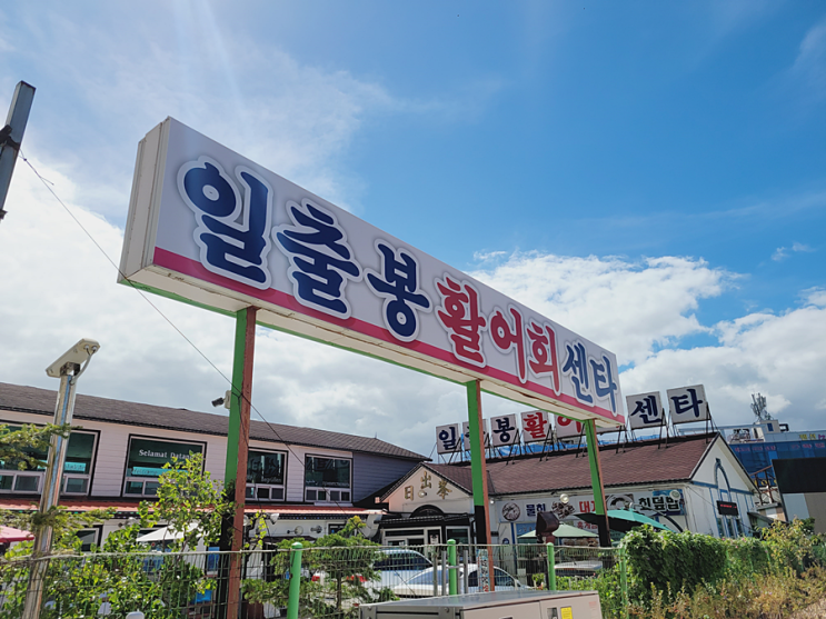 대포항맛집 속초가볼만한곳 '일출봉횟집' 대포항맛집 속초가볼만한곳 '일출봉횟집'