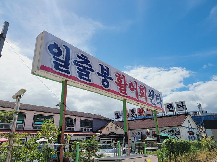 대포항맛집 속초가볼만한곳 '일출봉횟집'