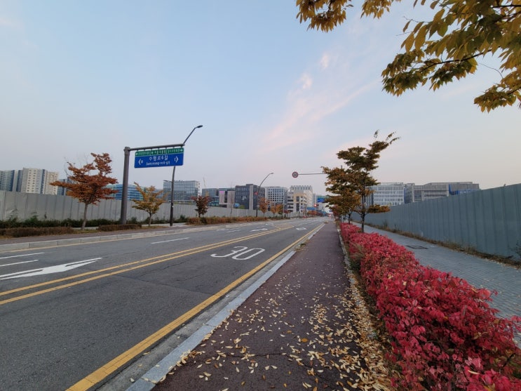 주말 아침은 늘 항상 편하다. 주말 아침은 늘 항상 편하다.