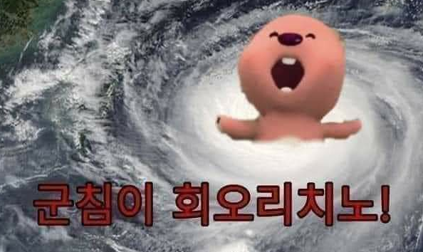  PMG Korea 인플루언서 시점 리뷰 / 대행사 리뷰 (5)