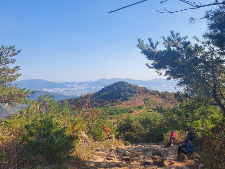  [BAC 명산 100+] 김해 신어산 단풍이 기깔난다~!!