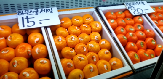  대전 과일 맛집 원두막농산 과일천국