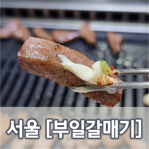  [서울/삼전]부일갈매기