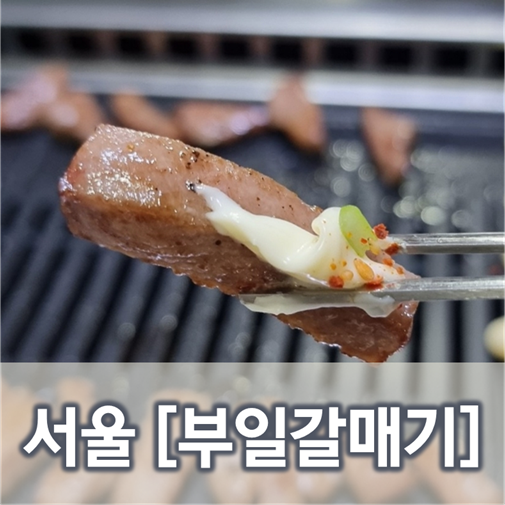 [서울/삼전]부일갈매기