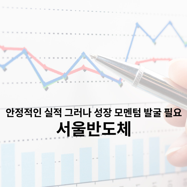  서울반도체 주가 안정적인 실적 그러나 성장 모멘텀 발굴 필요