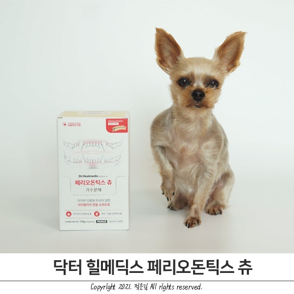 노령견껌 추천 방이가 잘먹는 닥터힐메딕스 페리오돈틱스츄 노령견껌 추천 방이가 잘먹는 닥터힐메딕스 페리오돈틱스츄
