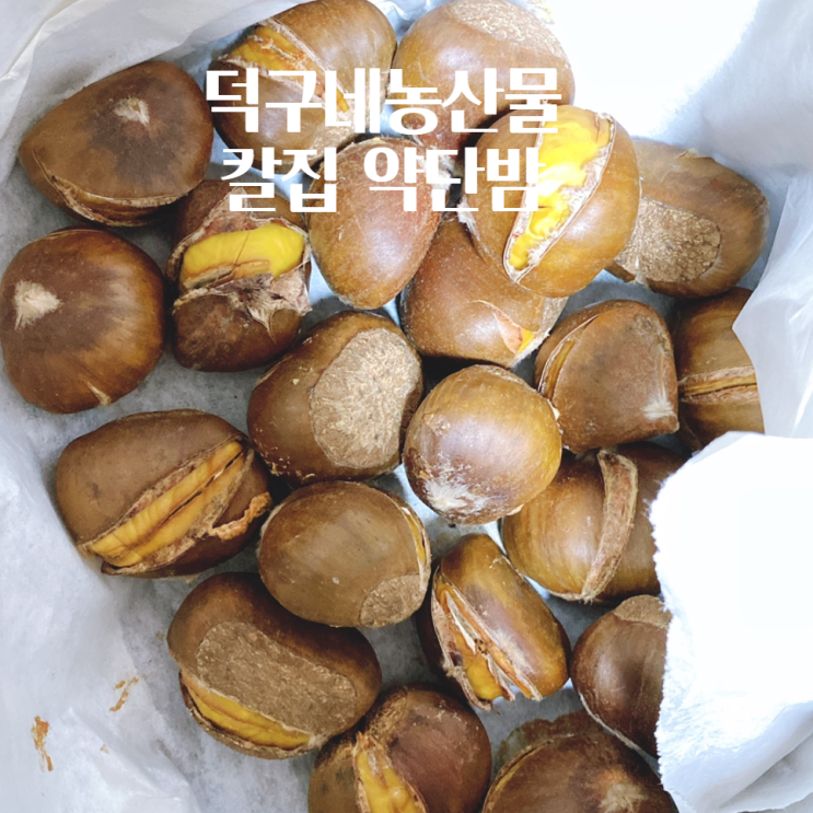  덕구네농산물 / 칼집 약단밤 추천 / 에어프라이어로 군밤만들기
