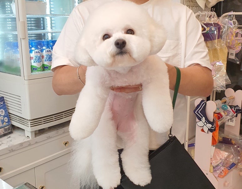 사진 5