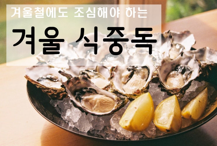  날씨가 추워질 때 노로바이러스를 조심해! 전염될까? 증상과 예방법.