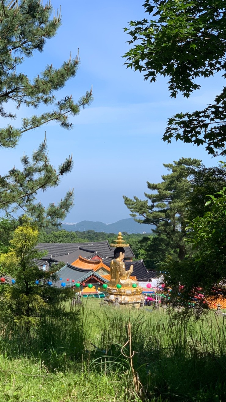  제주2