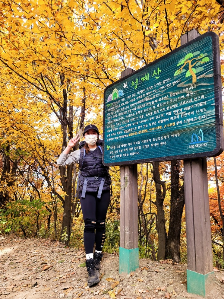  [등산일기#3] 계단이 많아 별명이 천계단이라는 청계산 (211030)