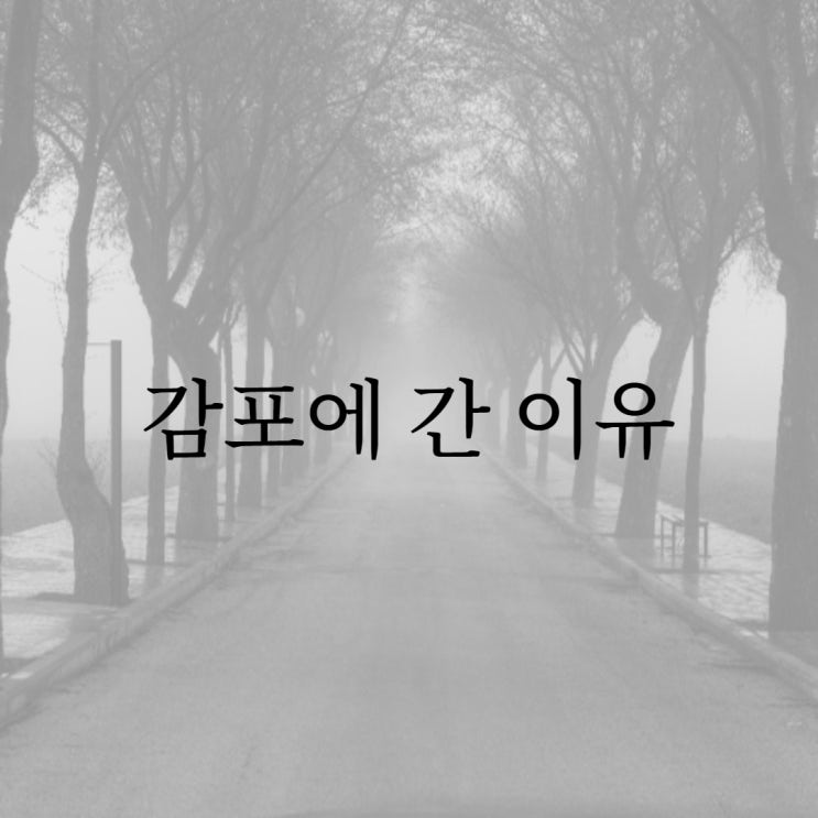  감포에 간 이유 / 네이트판 공포 괴담 무서운썰