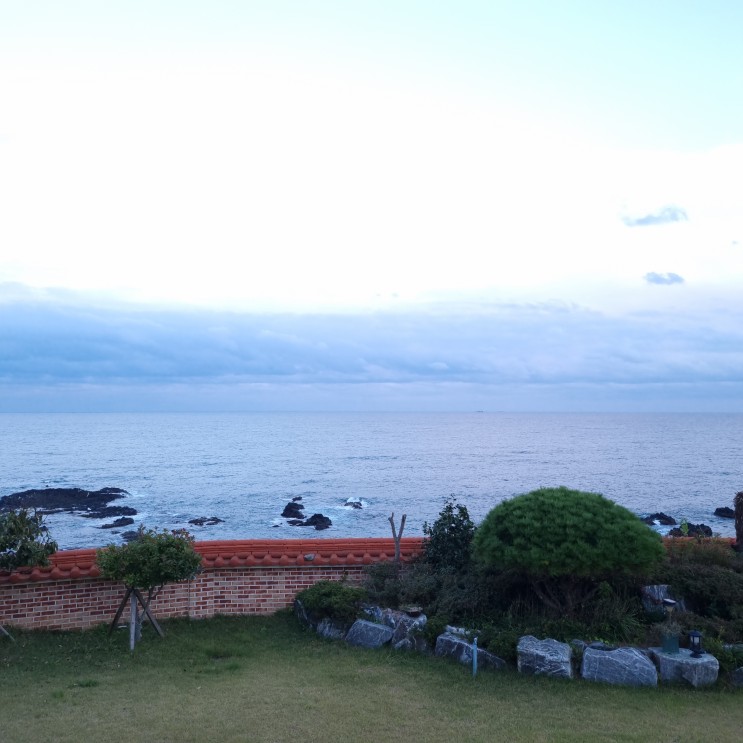 [대구근교/경주양남/맛집] 바다가 보이는 가성비있는 양남해물칼국수