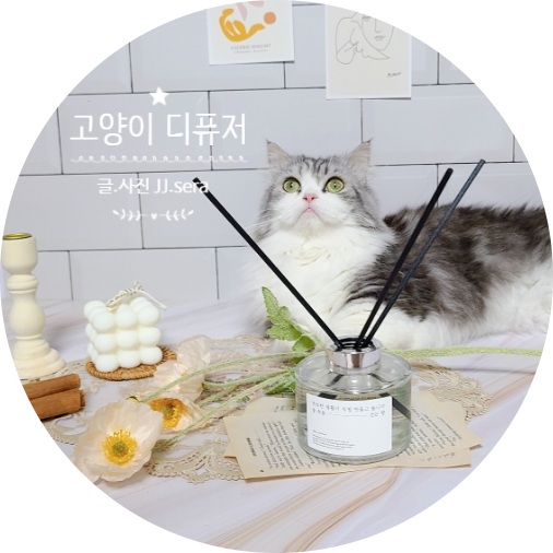  고양이디퓨저 - 반려동물 전용 디퓨저와 방향제 견묘한생활 추천합니다.