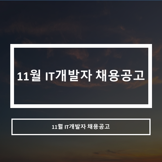 11월 IT개발자 채용공고 리스트