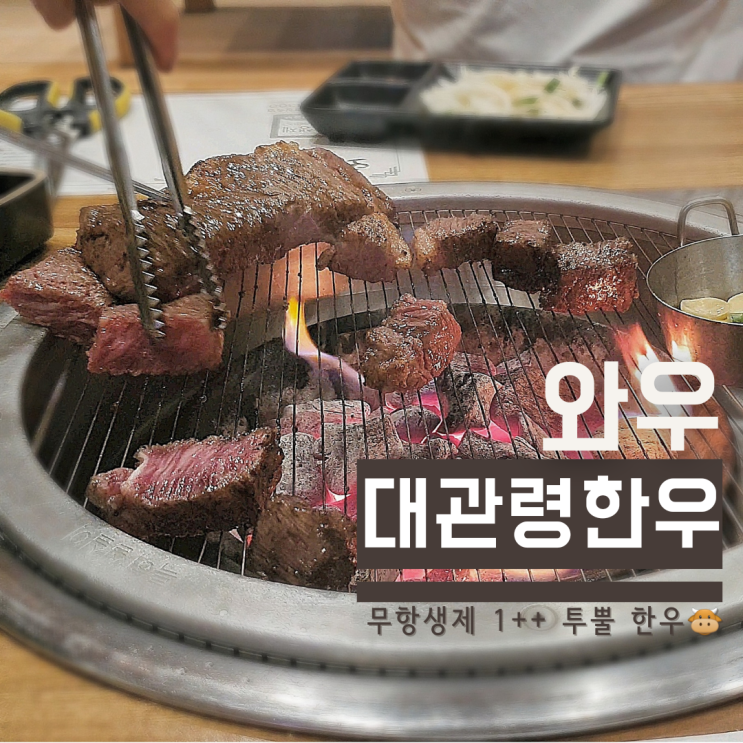  평창 한우맛집 :: 와우 대관령한우 무항생제 인증 1++등급 (내돈내산)