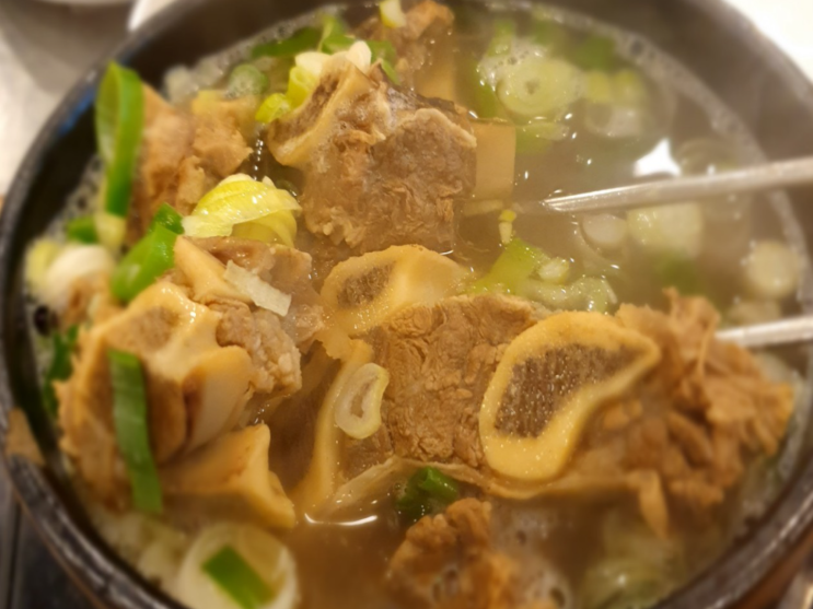  대전 중구 대흥동 갈비탕 맛집 : 월산본가