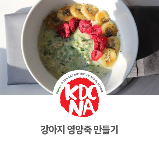  문정숙 펫영양사가 알려주는 강아지 영양죽 만들기 [한국반려동물영양협회/광주지회/순천/광양/여수/나주/고흥/펫푸드자격증/강아지화식_895]