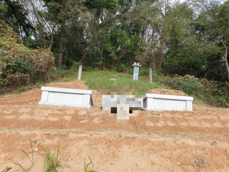  2021년 경북 김천시 대광동산 성산여씨 종중묘지 묘 산소 사각둘레석 5기작업 및 잔디조성 작업