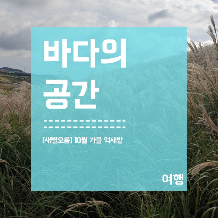  [새별오름] 10월 제주도 여행은 억새밭!