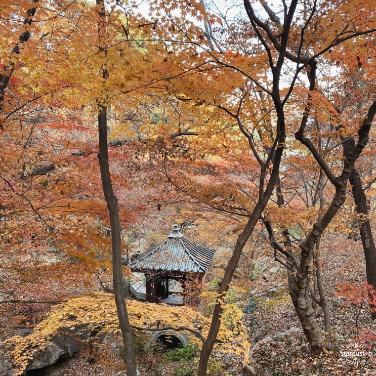  서울 가볼만한 곳, 단풍이 예쁜 부암동 석파정의 가을