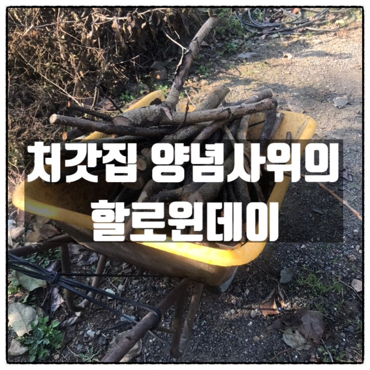 처갓집 양념사위의 할로윈데이 처갓집 양념사위의 할로윈데이