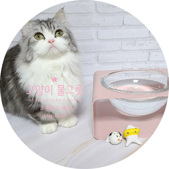 스튜디오 얼라이브 달빛식기 고양이 물그릇 하나면 음수량 늘릴 수 있어요. ( feat. 내돈내산 )