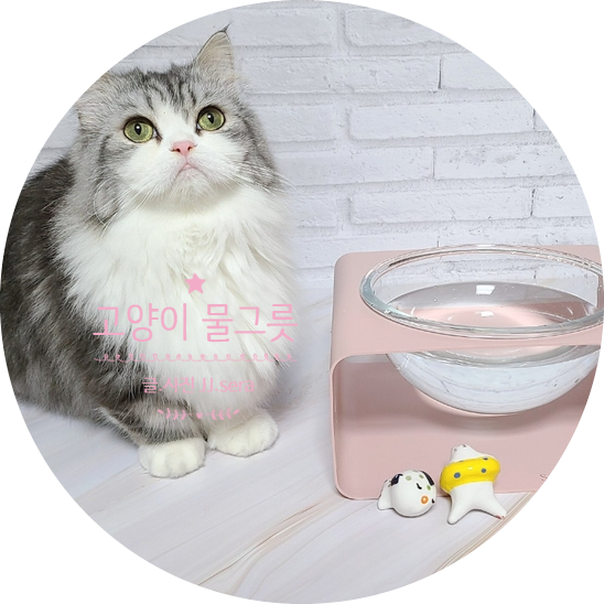  스튜디오 얼라이브 달빛식기 고양이 물그릇 하나면 음수량 늘릴 수 있어요. ( feat. 내돈내산 )