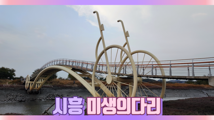 시흥 미생의다리 위치 찾기힘들어 사람없는 곳 시흥 미생의다리 위치 찾기힘들어 사람없는 곳