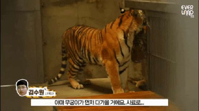  태범아 무궁아 잘 지내고 있니... 