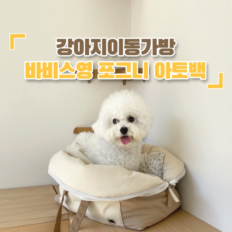 [강아지이동가방추천] 바비스영 포그니 아토백 L사이즈(내돈내산)