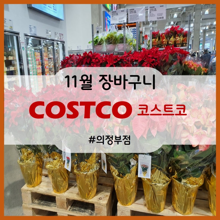  11월 코스트코 장바구니(의정부점)
