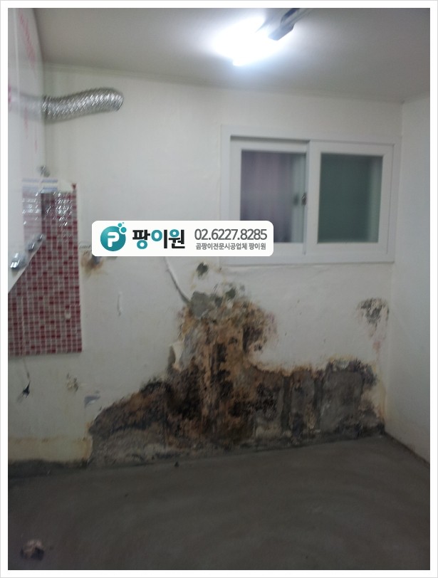 반지하 벽 곰팡이제거 완벽한 해결!