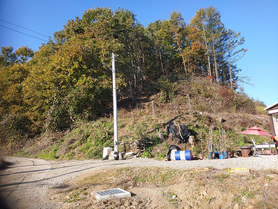 대람산 사진 5