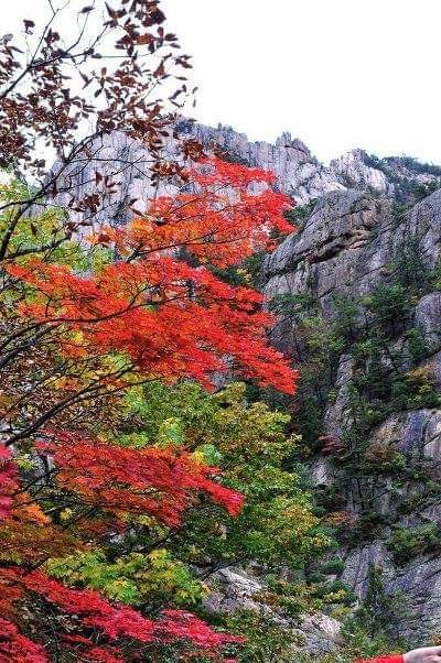 인생은 한번의 추억여행 인생은 한번의 추억여행