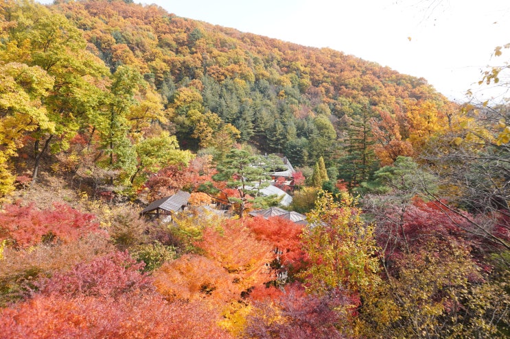  경기도 광주 단풍구경명소 가볼만한곳 곤지암화담숲 남한산성 금원수목원