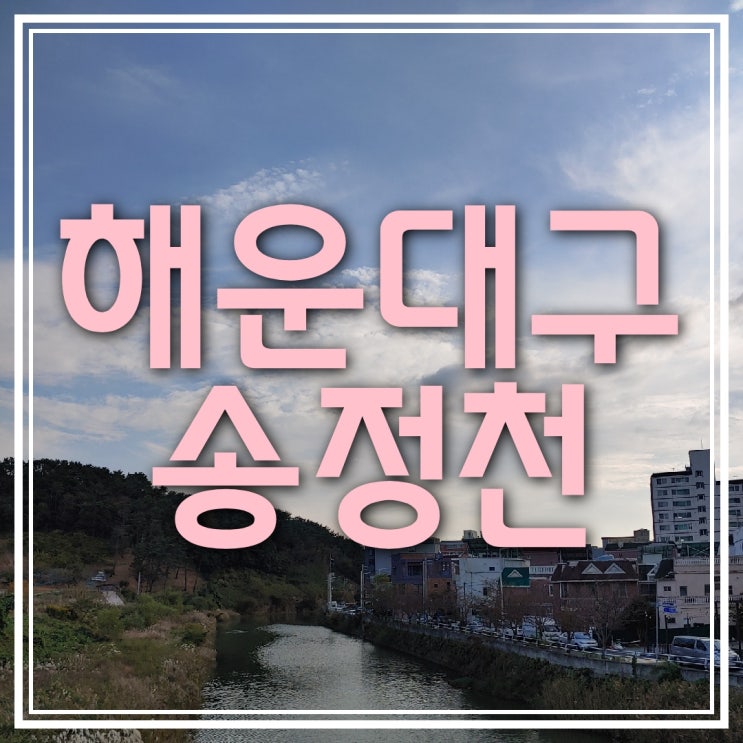 해운대구 송정동 송정천,송정공원 소개(매물있음,토지매매)